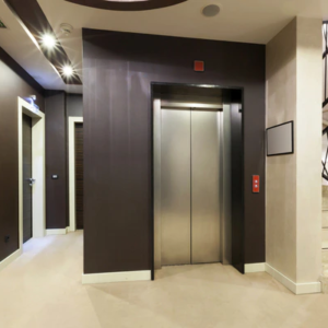 Auto Door MRL Lift